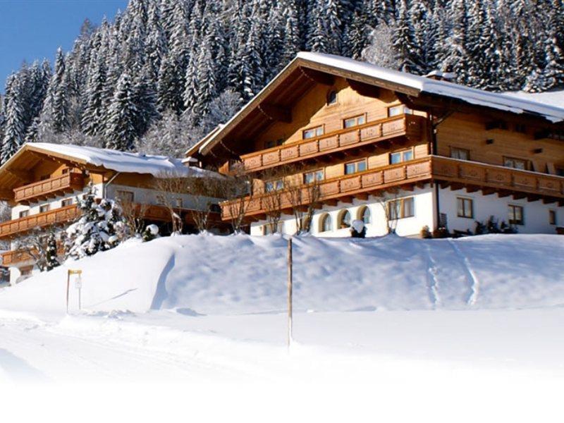 Ferienhaus And Reiterhof Poettler Flachau Exterior foto